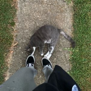 Meet your Posher, Chelsia